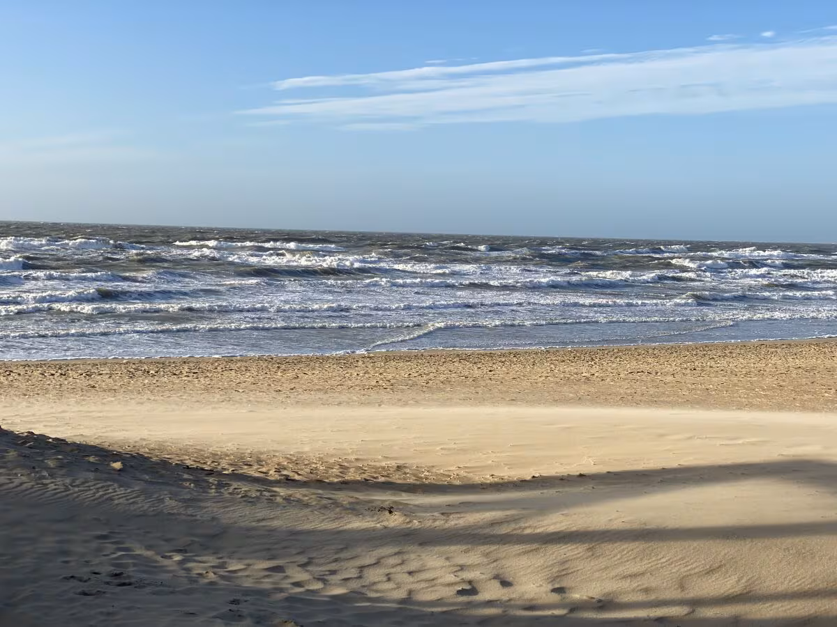 Dünen & Meer - Ferienhäuser - Strand
